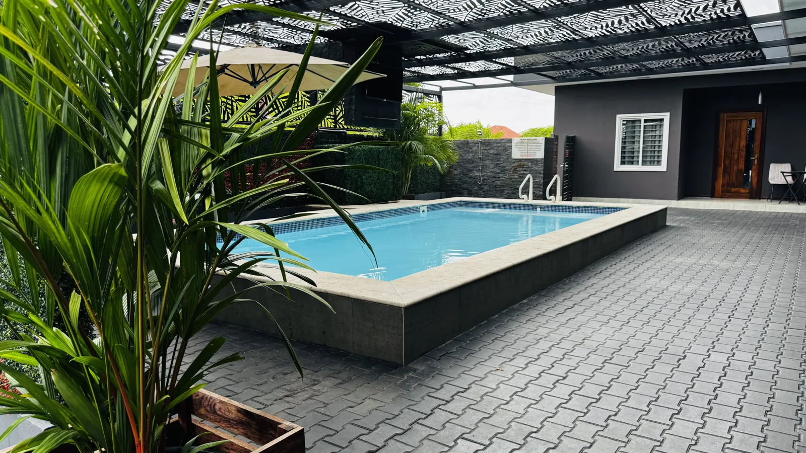 Tropical greenery beside the pool